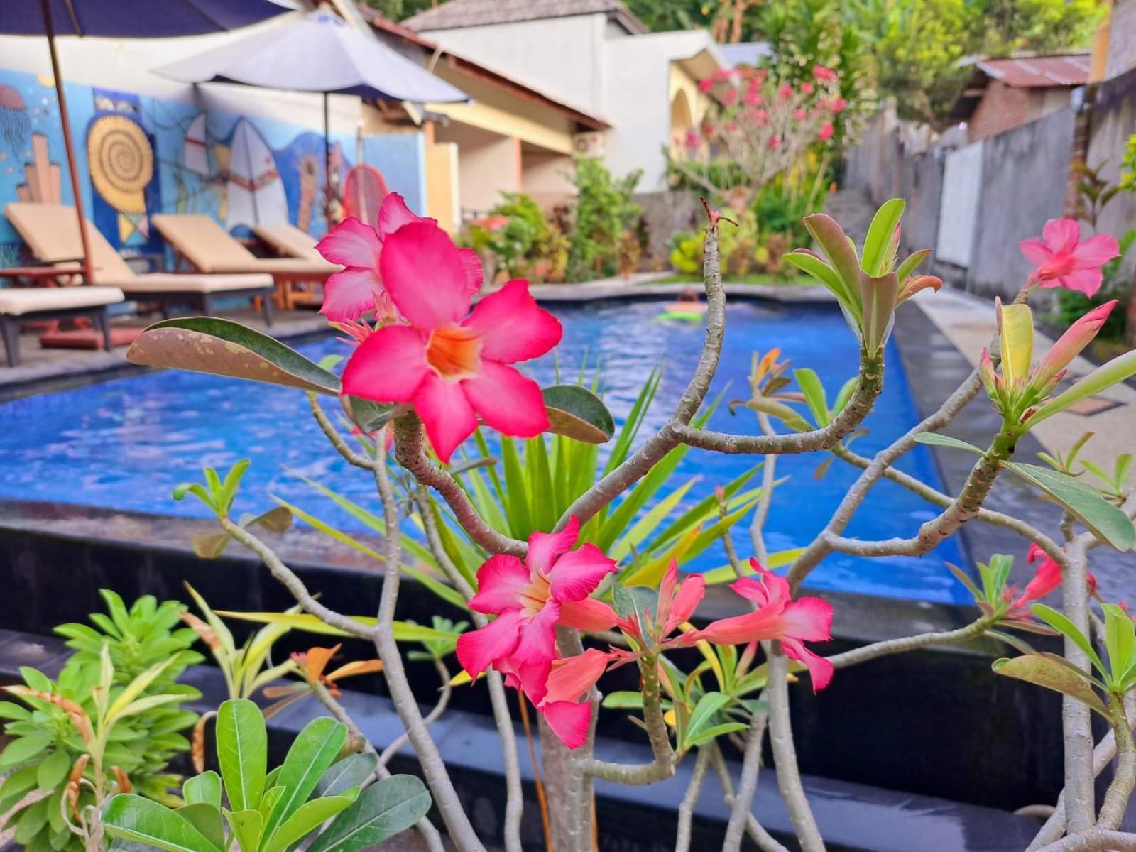 Family Garden Homestay Сенггиги Экстерьер фото
